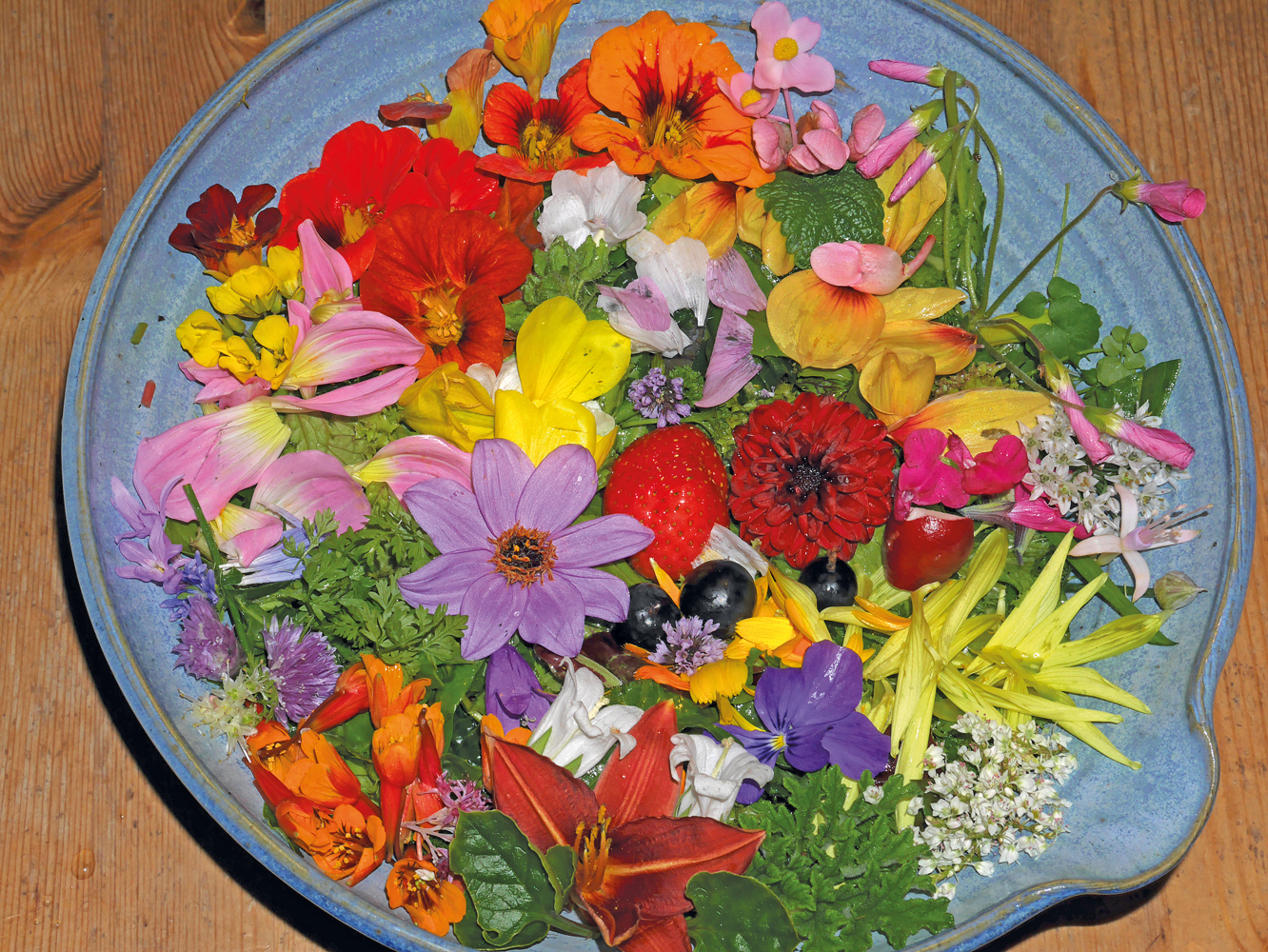 Final-Salad
