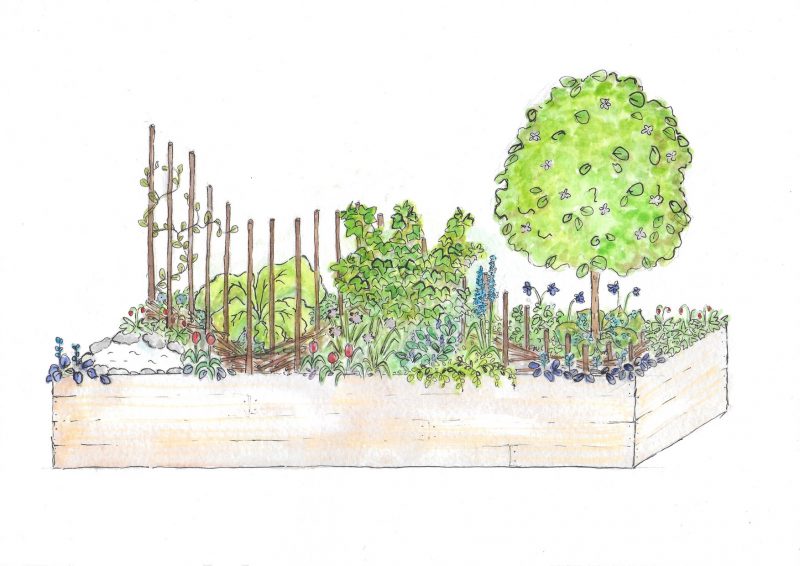 Author – Pippa Chapman – wins five stars for micro forest garden design ...